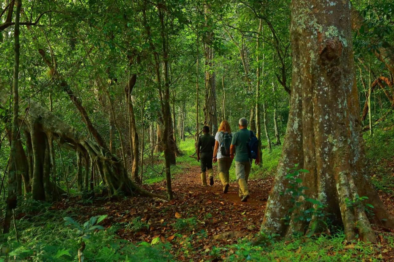 Quadiriya Palace Thekkady Dış mekan fotoğraf